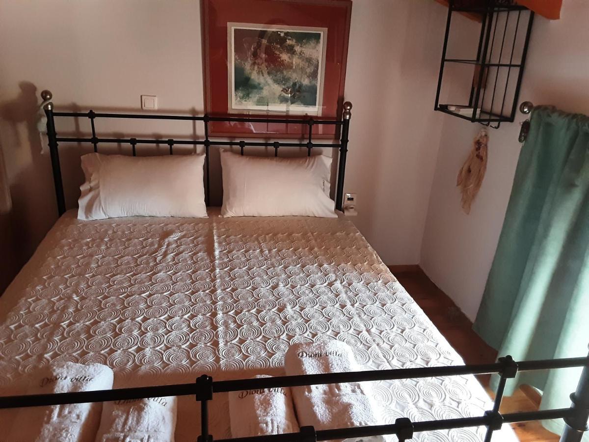 Dioni Villa Sivota  Luaran gambar