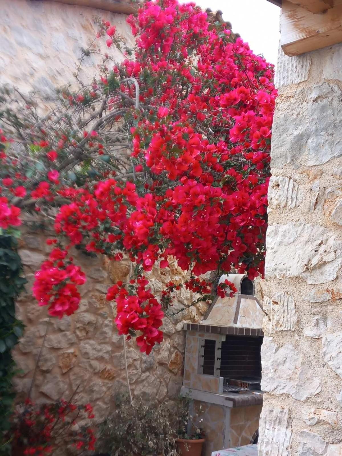 Dioni Villa Sivota  Luaran gambar